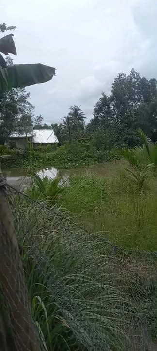 Đất nền 1200m² tại Xã Vị Tân, TP Vị Thanh - Giá chỉ 900 triệu!