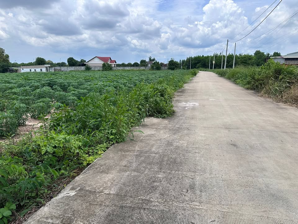 Đất nền 89m mặt tiền đường Tóc Tiên, 8600m² giá 8.6 tỷ - Cơ hội đầu tư hấp dẫn!