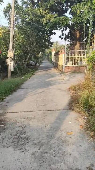 Đất vườn Tân Phong, Cái Lậy 3000m² giá 2.7 tỷ - Hai mặt tiền xe hơi thông thoáng!