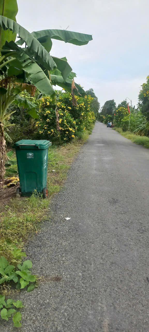 Bán 12,6 công đất trồng khóm xã Tân Phước 1, Đồng Tháp - Giá 32,76 tỷ VND, chính chủ thương lượng!