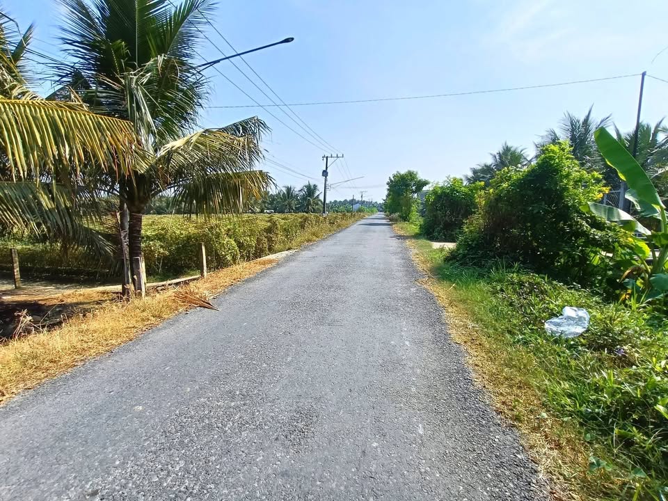 Đất nền Bình Quới Hạ, Tiền Giang 700m² giá 700 triệu - Sổ đỏ chính chủ, đầu tư sinh lời!