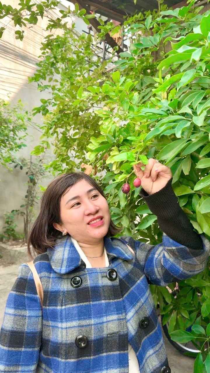 Nhà hẻm 1,5 tầng Trần Hưng Đạo Quy Nhơn 57,58m² giá 1.9 tỷ - Pháp lý rõ ràng chính chủ!