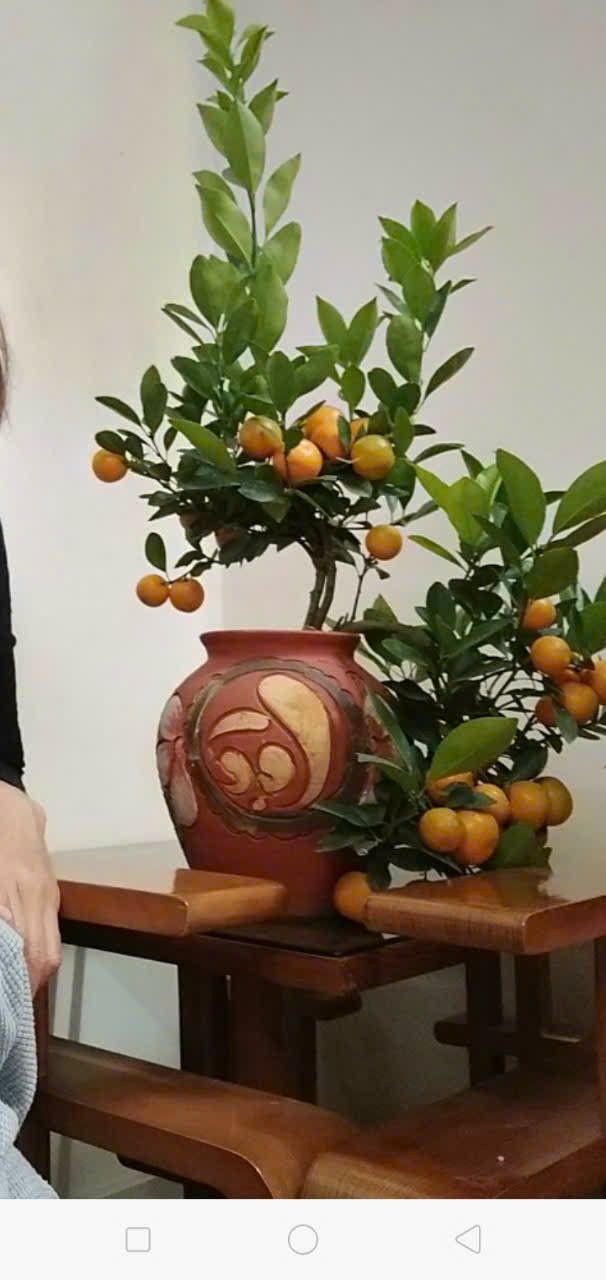 Nhà cho thuê tại Ngũ Hiệp 46m² - Chính chủ, giá thỏa thuận!