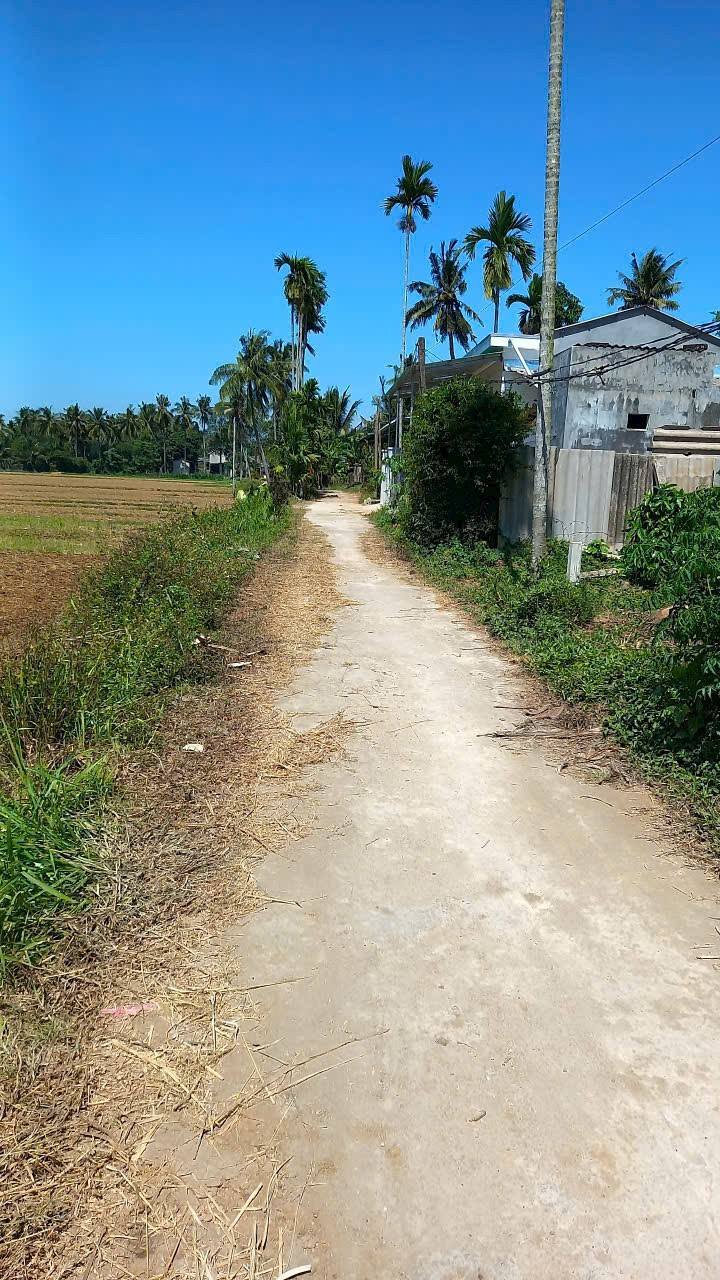 Đất thổ cư An Nghiệp Hoài Mỹ 120m² giá 200 triệu - Đầu tư lý tưởng!