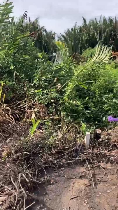 Đất thổ cư 200m² tại Bình Khánh - Giá 2,3 tỷ - Gần Ga Metro