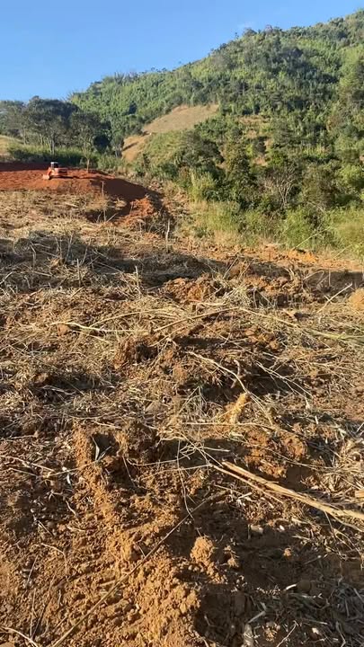 Đất Farm 3ha tại Xã Đắk Blô, Huyện Đắk Glei - Giá chỉ 5 tỷ, cơ hội đầu tư tốt!