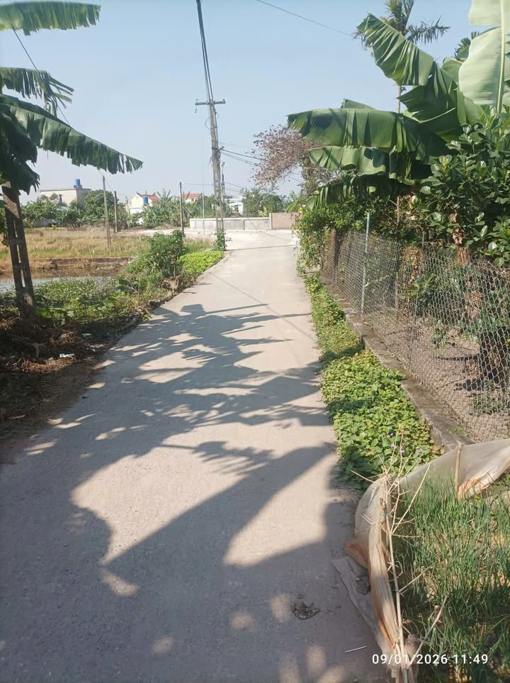 Đất nền Tây Phong, Tiền Hải 95m² giá 700 triệu - Cơ hội đầu tư hấp dẫn!