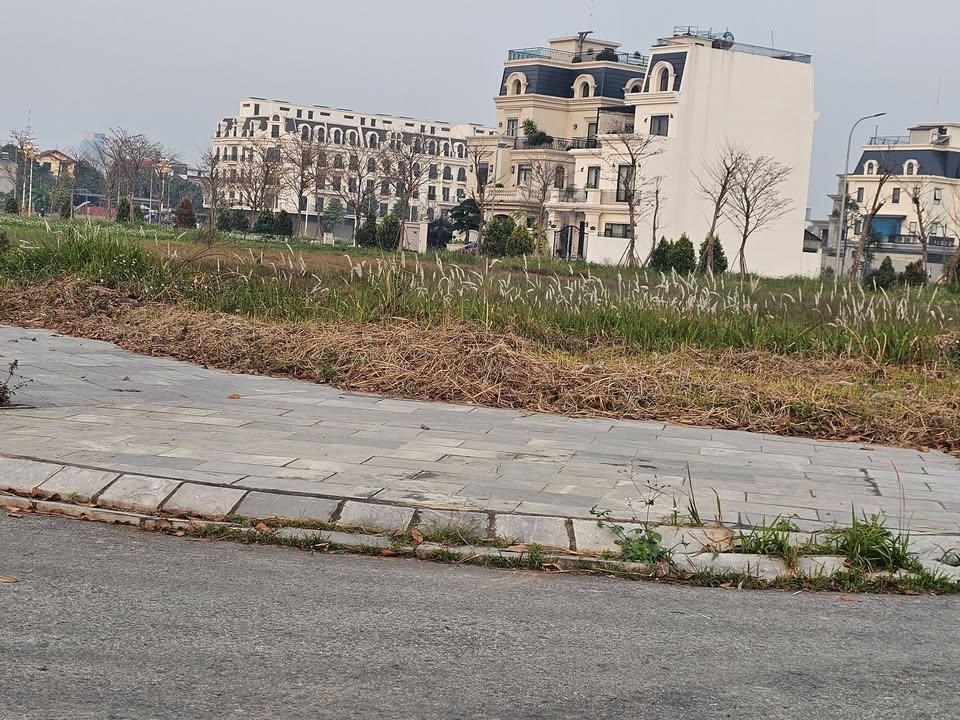 Đất nền 2 lô góc view hồ tại Khu đô thị Bắc Đầm Vạc 615m² - Đẳng cấp sống xứng tầm!