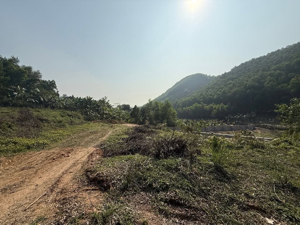 Đất Farm 1 Hecta Phúc Thuận, Phổ Yên, Thái Nguyên - Giá Thỏa Thuận, Sẵn Sàng Đầu Tư!