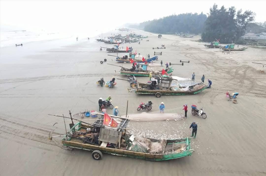 Đất biển Xã Hải Long 258m² giá chỉ 1 tỷ - Cơ hội đầu tư hấp dẫn!