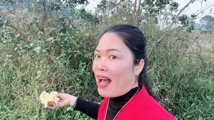 Đất vườn 3000m² tại Xã Vô Tranh, Bắc Giang - Cơ hội đầu tư hấp dẫn!