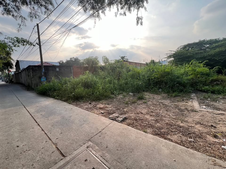 Đất thổ cư Hóc Môn 100m² giá 2 tỷ - Sổ đỏ chính chủ, đầu tư sinh lời!