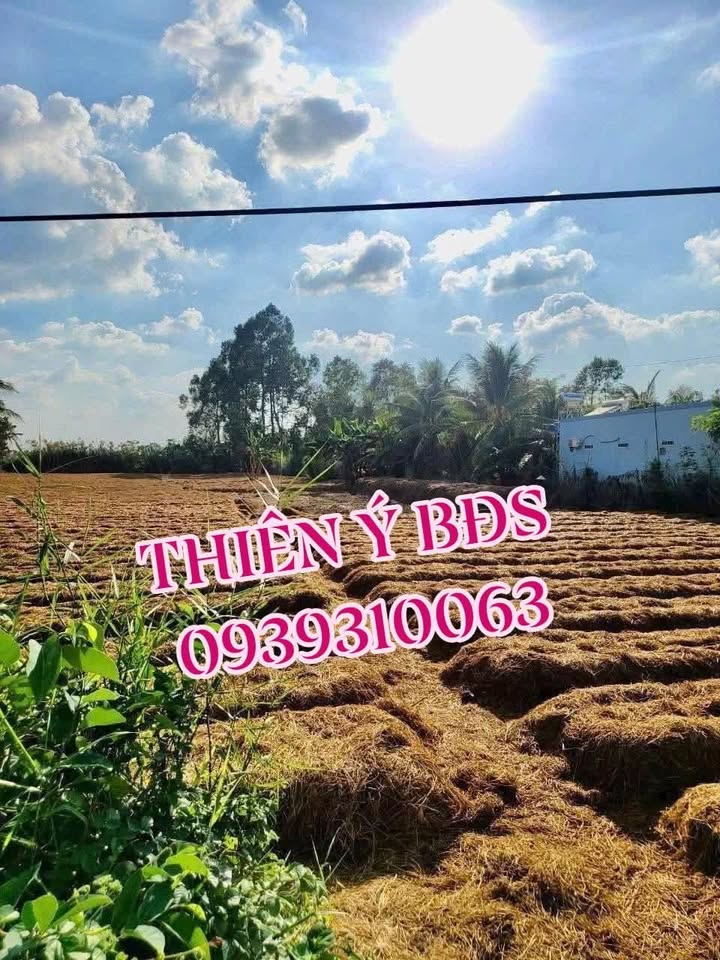 Đất nền Tân Quy Tây, Sa Đéc 1300m² giá 1.75 tỷ - Đầu tư sinh lời ngay!