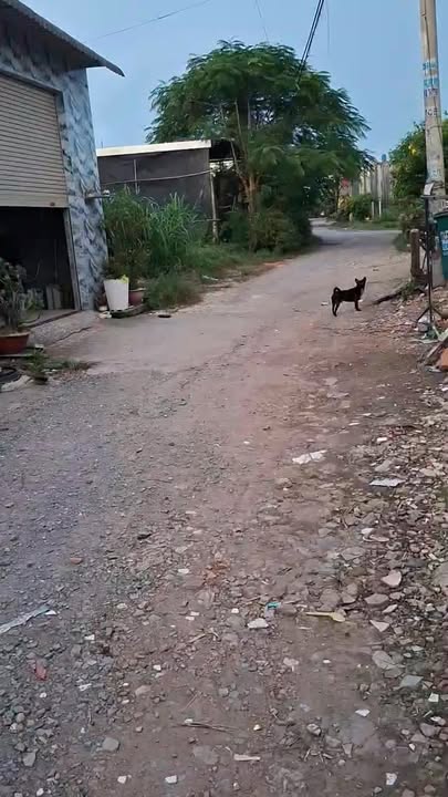 Nhà bán tại Kênh Trung Ương, Bình Chánh 36m² giá 780 triệu - Cơ hội sở hữu ngay!