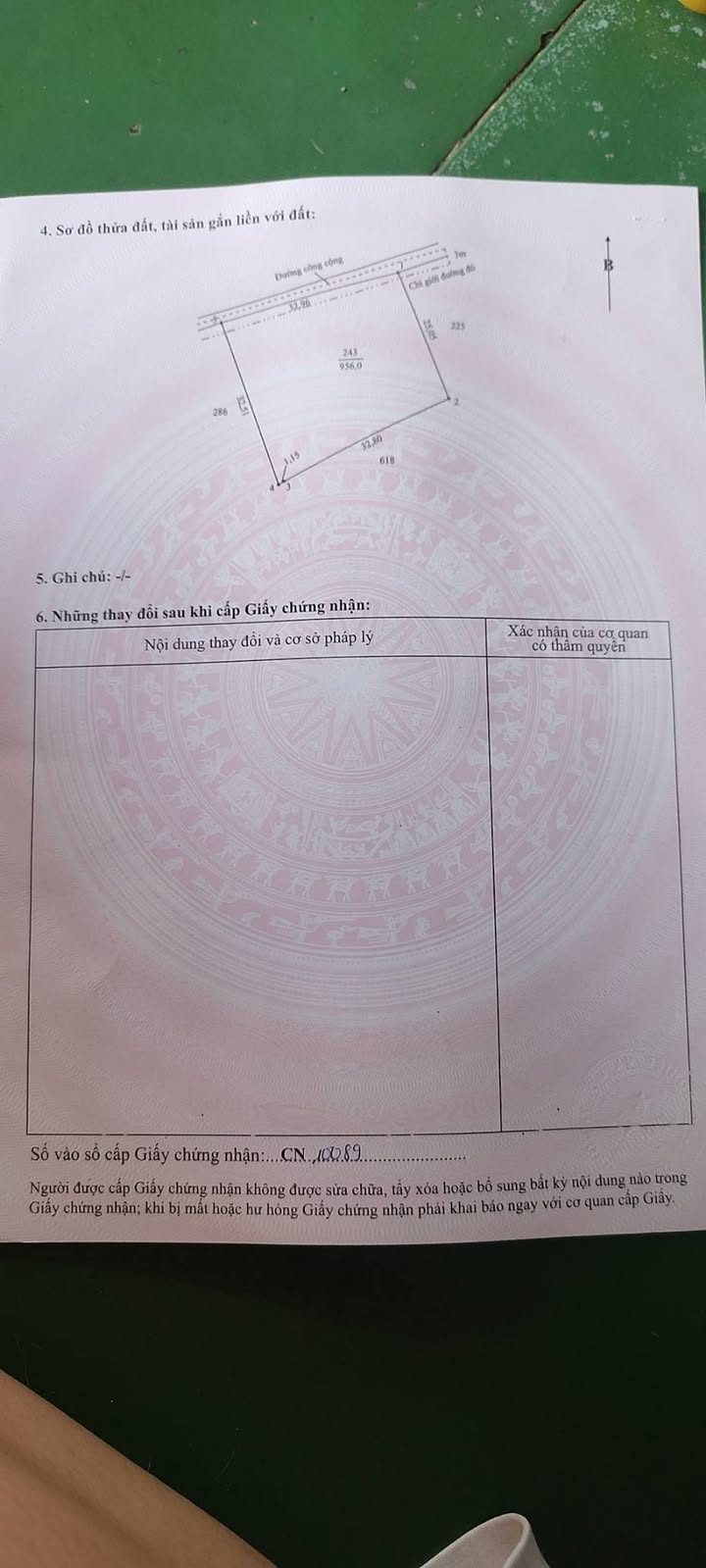 Đất chính chủ An Thạnh Bến Lức 3708m² giá 4.814 tỷ - Cơ hội đầu tư hấp dẫn!