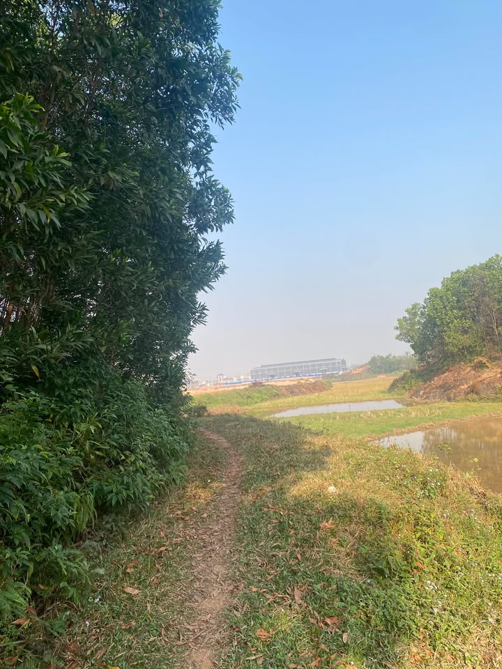 Đất thổ cư 600m² tại KCN Xuân Phương giá 3 tỷ - Sổ đỏ chính chủ, không quy hoạch!