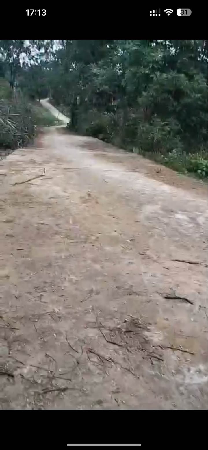 Bán lô đất 7000m² tại khu Kháng Nhật, Sơn Dương - Giá chỉ 1.3 tỷ VND!