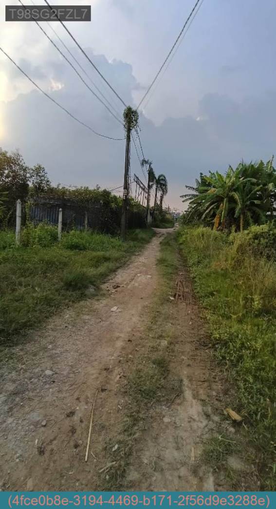 Đất nền Bình Chánh 75m² giá 500 triệu - Đường xe ra vào thuận tiện!