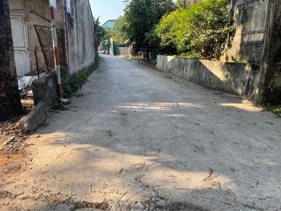 Đất vàng 85.5m² tại Tân Minh, Sóc Sơn - Giá chỉ 2 tỷ VND!