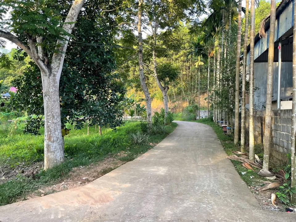 Đất nền 700m² tại Lương Sơn, Hòa Bình giá chỉ 1.9 tỷ - Cơ hội đầu tư tuyệt vời!