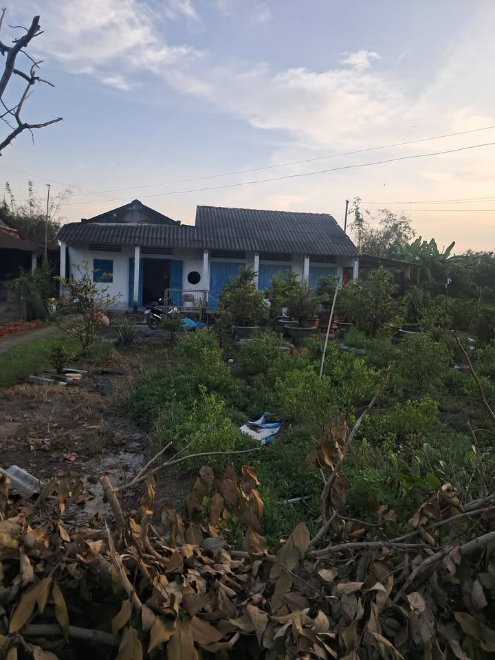 Đất mặt tiền nhựa 2400m² tại ấp Phú Quới, Gò Công Tây - Giá chỉ 3.1 tỷ!