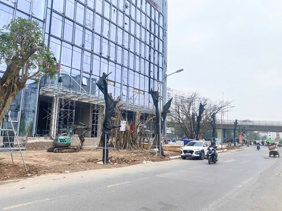 Đất thổ cư Thượng Thanh 66m² giá 13 tỷ - Cơ hội kinh doanh hiếm có!