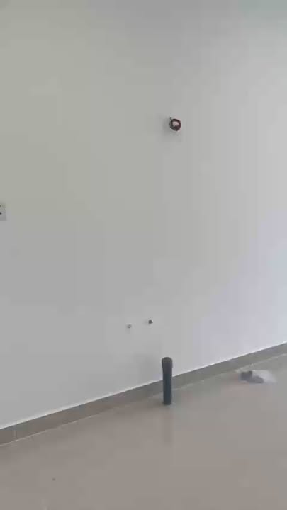 Căn hộ 2PN 2WC tại S902 Origami, Quận 9, 67m² chỉ 3.12 tỷ - Cơ hội đầu tư hấp dẫn!