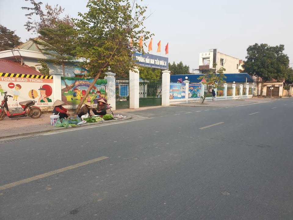 Đất nền Xã Tiên Dược Sóc Sơn 60m² chỉ 1 tỷ - Đầu tư sinh lời ngay!