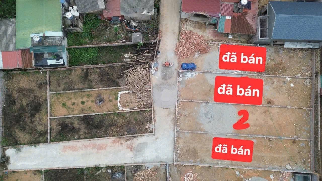 Đất thổ cư 111m² tại Thái Lai, Minh Trí - Sóc Sơn giá 1.831 tỷ, vị trí đắc địa!