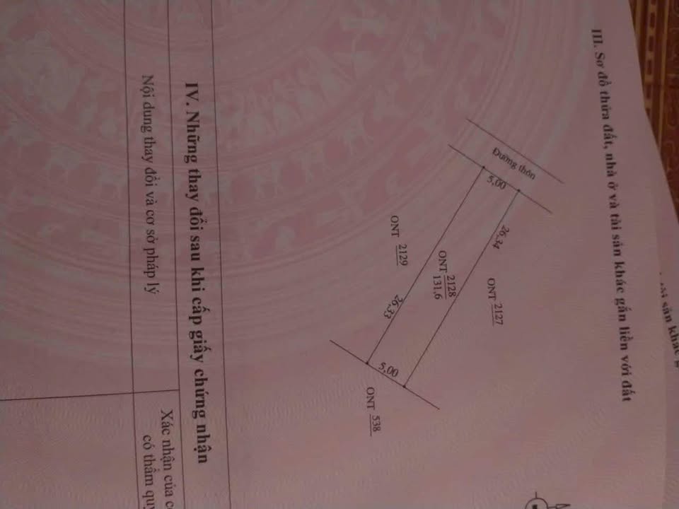Đất biệt thự 300m² Yên Thái, Yên Định chỉ 1.25 tỷ - Sổ đỏ chính chủ!