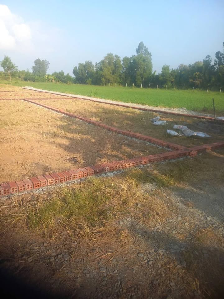 Đất Phú Lễ Ba Tri 80m² giá 120 triệu - Cơ hội đầu tư tuyệt vời!
