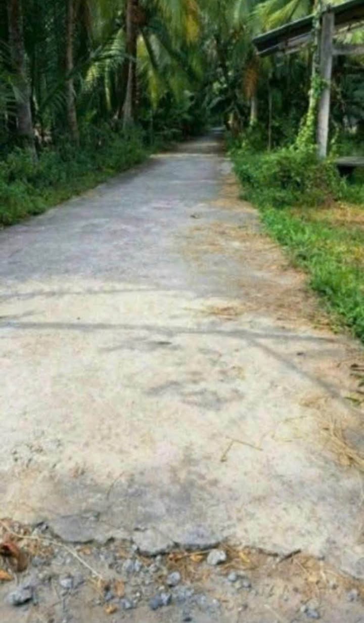 Bán đất Phú Hưng, 606m² giá 800 triệu - Cơ hội đầu tư hấp dẫn!