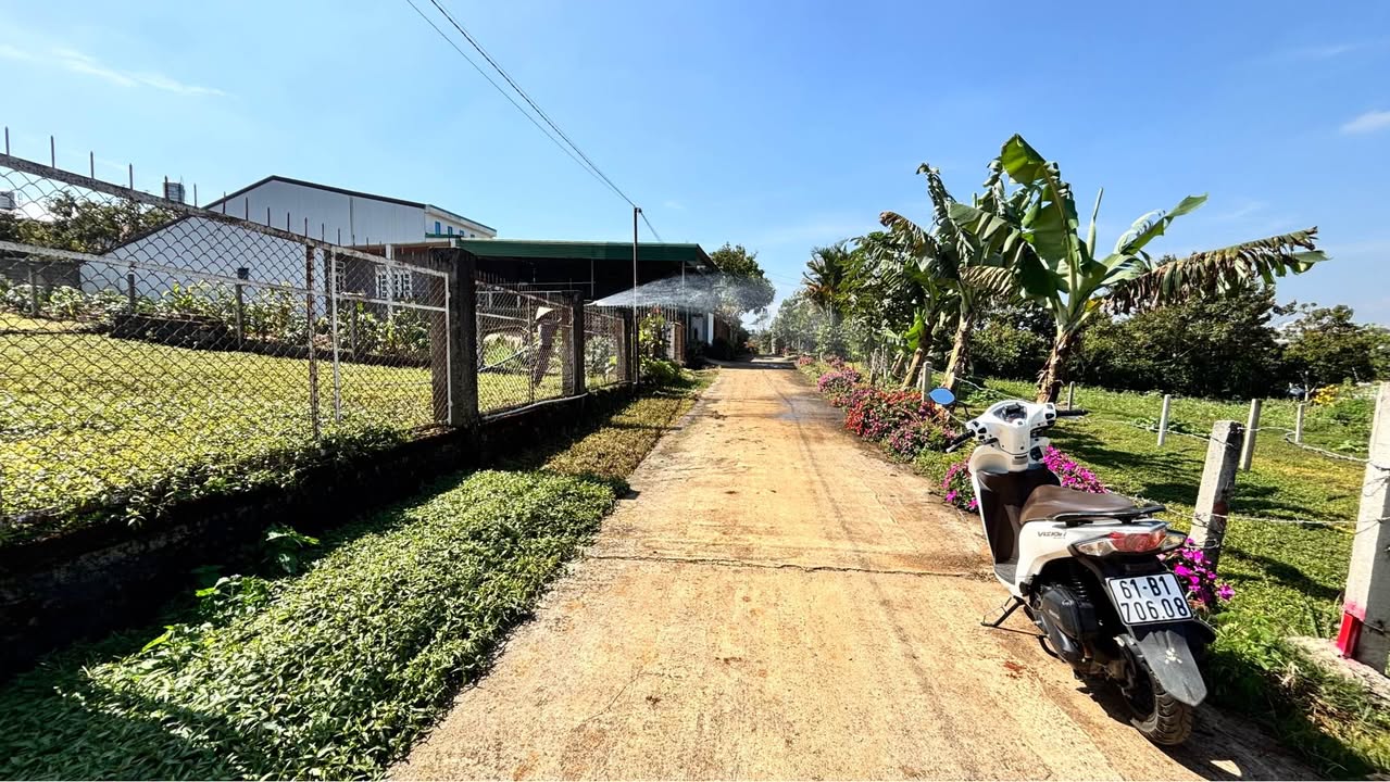 Đất Biệt thự Lý Thái Tổ, Bảo Lộc 724m² giá 4.5 tỷ - Cơ hội đầu tư hấp dẫn!