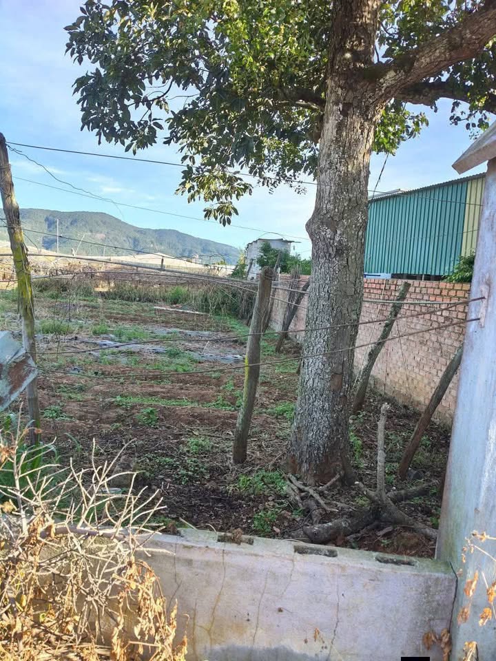 Đất thổ cư Nam Hiệp, Đức Trọng 240m² giá 900 triệu - Cơ hội đầu tư tuyệt vời!