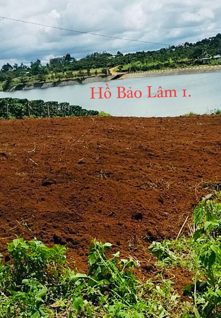 Đất nền Bảo Lâm 742m² giá 1.6 tỷ - View hồ đẹp, cần bán gấp!