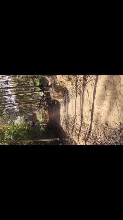 Bán gấp mảnh vườn 7ha tại Kon Gu 2, Đắk Hà, chỉ 2.x tỷ - Đầu tư sinh lời ngay!