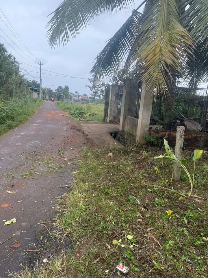 Đất thổ cư 196m² tại Hòa An, Krông Pắc - Giá chỉ 6.44 tỷ, cơ hội đầu tư tốt!