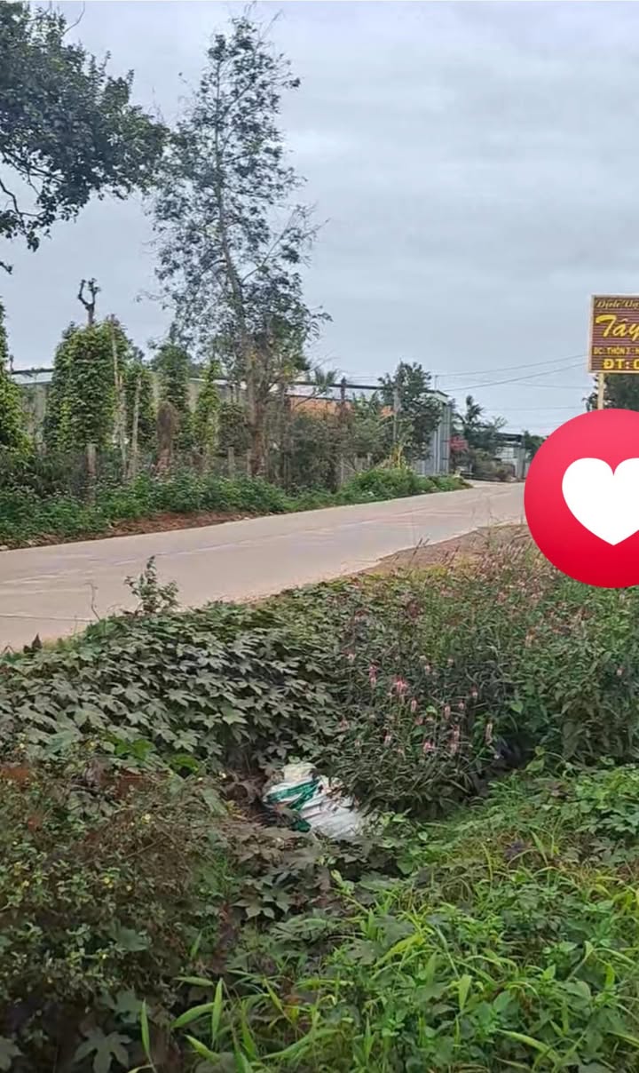 Đất nền Trục Chính Buôn Cam Rưng, 257150m² giá 20.65 tỷ - Vị trí thuận lợi cho đầu tư!