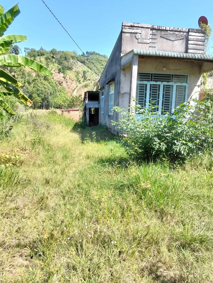 Đất mặt tiền đường Phú Xuân, Tân Phú, 50000m², Giá tốt 2.2 tỷ - Đầu tư sinh lời!