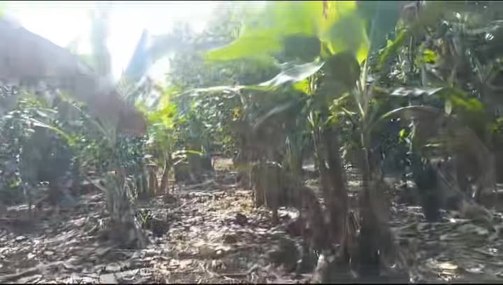 Đất nền Định Quán Đồng Nai 57.000m² giá 400 tỷ - Cơ hội đầu tư tuyệt vời!