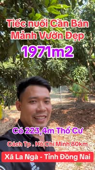 Đất nền Huyện Thống Nhất 2000m² giá 1.7 tỷ - Đường bê tông, pháp lý thổ cư