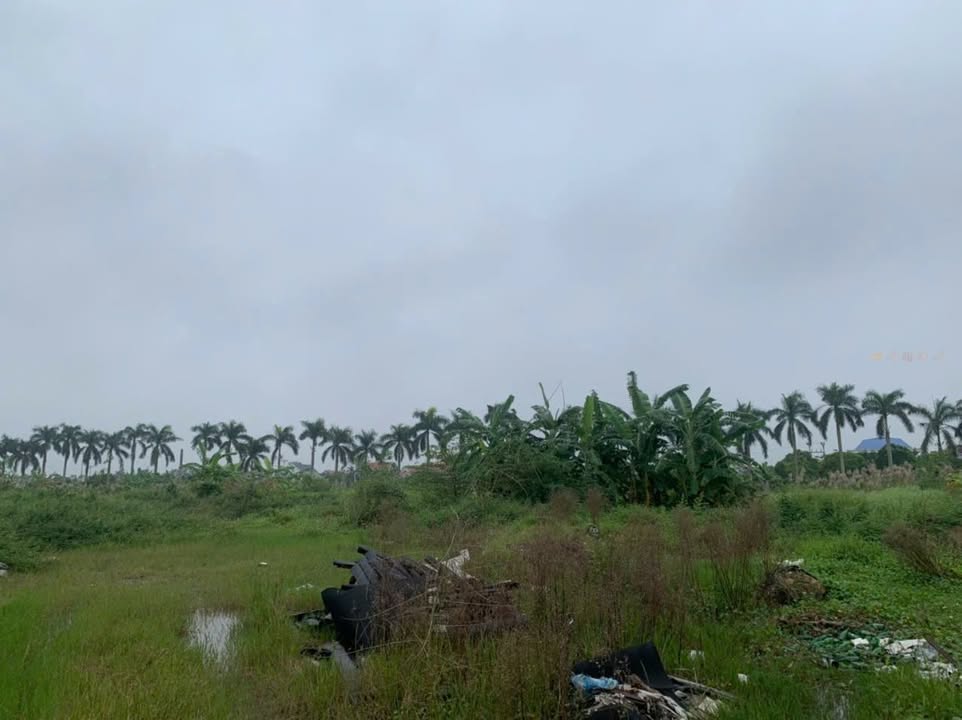 Đất công nghiệp 5ha mặt tiền Quốc lộ 39, Hưng Yên chỉ 65 tỷ - Tiềm năng phát triển lớn!