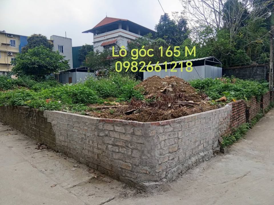 Đất thổ cư 165m² phường Đồng Mai, Hà Đông - Đầu tư sinh lời bền vững!