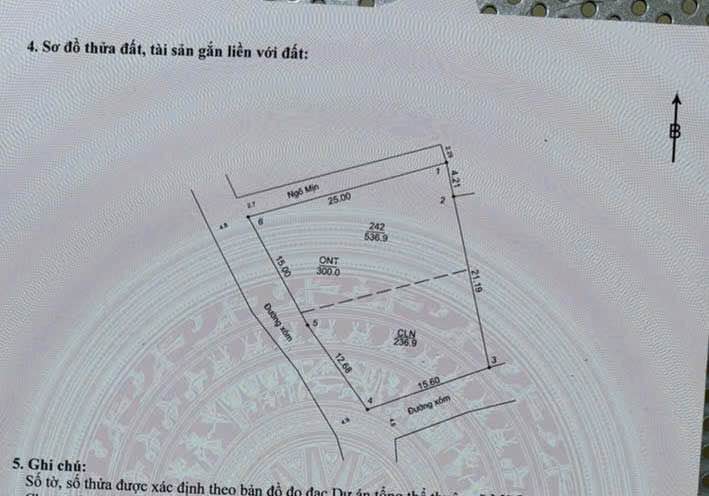 Đất thổ cư 537m² xã Mỹ Lương, Chương Mỹ - Giá chỉ 5.37 tỷ - Lô góc 3 mặt tiền thoáng đãng!