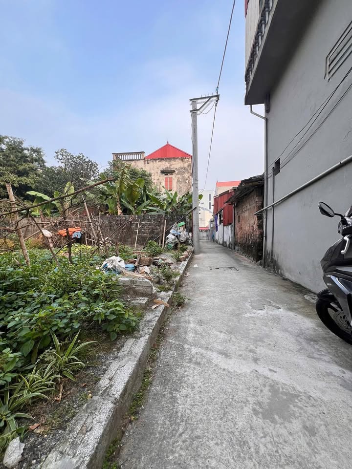 Đất Làng Nghề Da Giày Giẽ Thượng Phú Xuyên 85m² - Vị trí vàng cho kinh doanh!