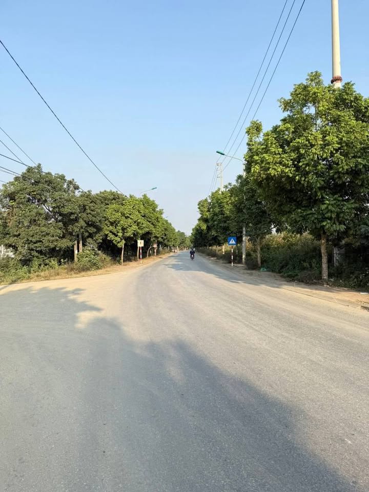 Đất nền chính chủ tại tổ 16, phường An Tường, 100m² chỉ 1.1 tỷ - Đầu tư sinh lời!