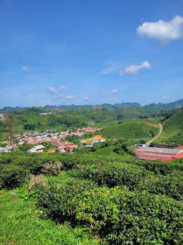 Đất nền Chiềng Đi Mộc Châu 3000m² giá 20 tỷ - Mặt tiền rộng, view hồ tuyệt đẹp!