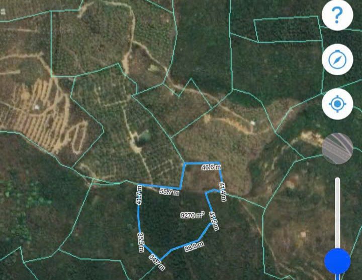 Đất Farm Cam Hiệp Bắc 10 hecta giá 7 tỷ - Cơ hội đầu tư tuyệt vời!