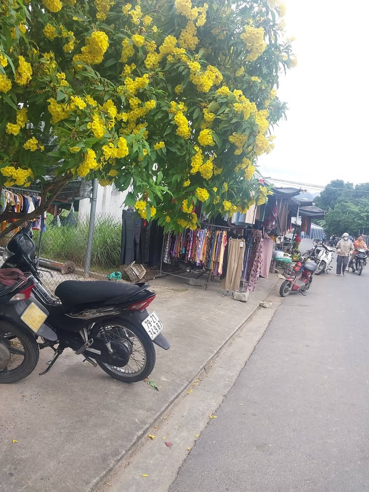 Đất nền Cam Hòa, Lập Định 1100m² giá 2.2 tỷ - Sổ đỏ chính chủ