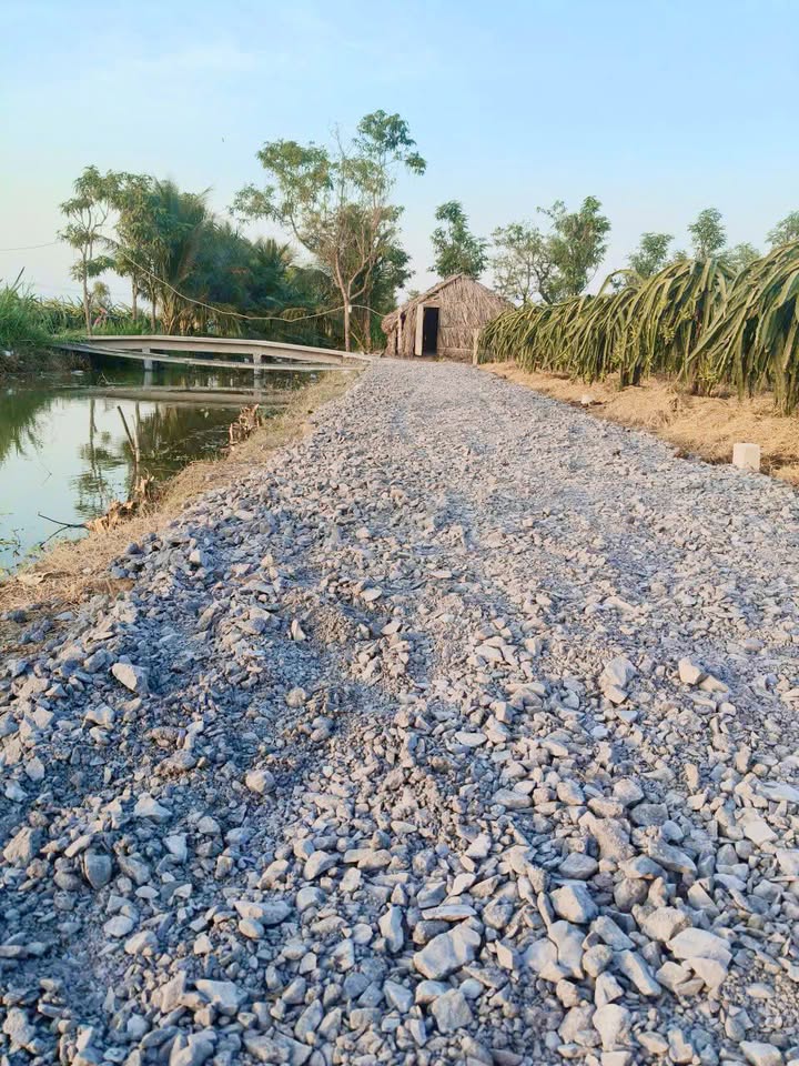 Đất nền Tân Điền Gò Công Đông 221m² giá chỉ 200 triệu - Sổ hồng thổ cư chính chủ!